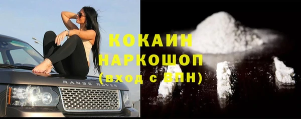 дмт Осташков