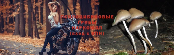 МДМА Алексеевка