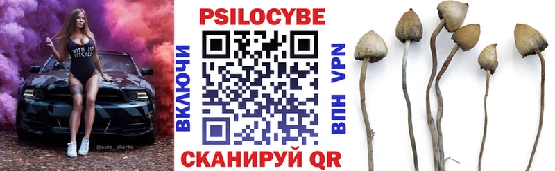 Псилоцибиновые грибы Magic Shrooms  Добрянка 