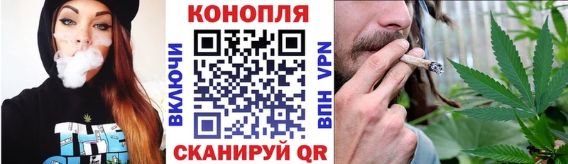 Конопля гибрид Добрянка